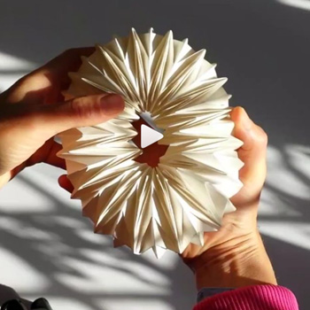 Malleable Paper Sculptures by Polly Verity Expand and Contract Into Mesmerizing Shapes